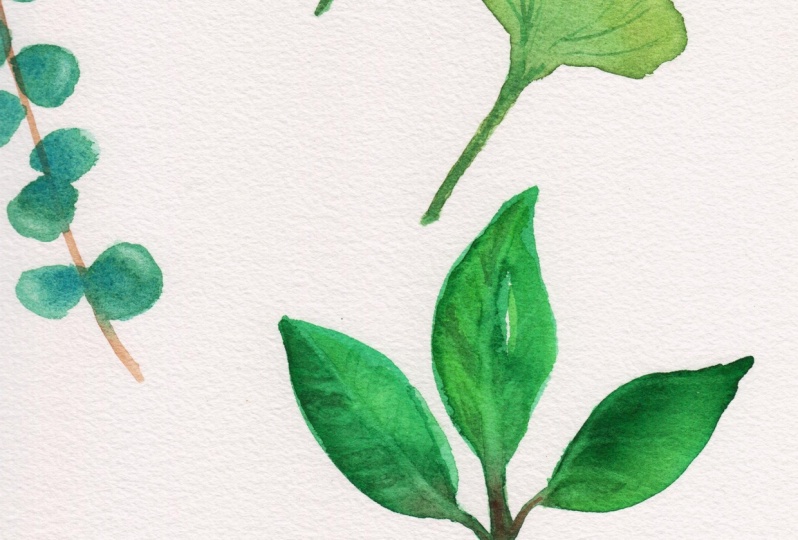 Every leaf