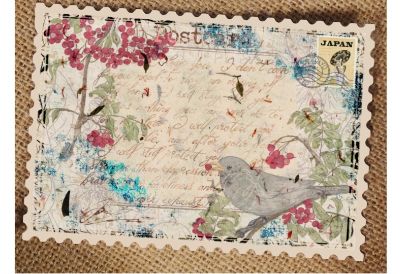 Vintage Postcard