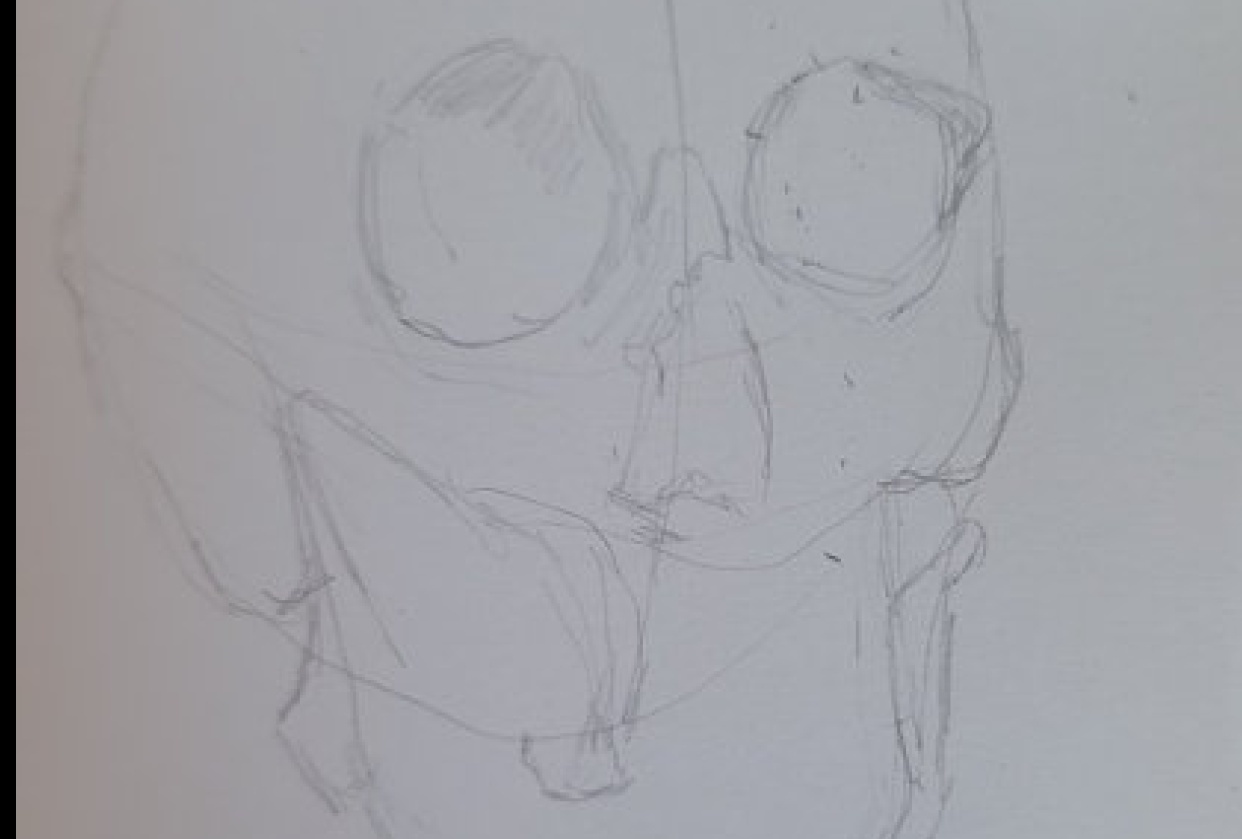 DBurton - Steps to start drawing portraits today - student project