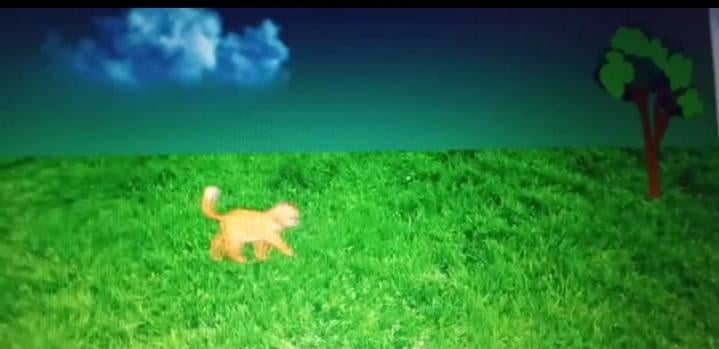 Animation using canva - student project