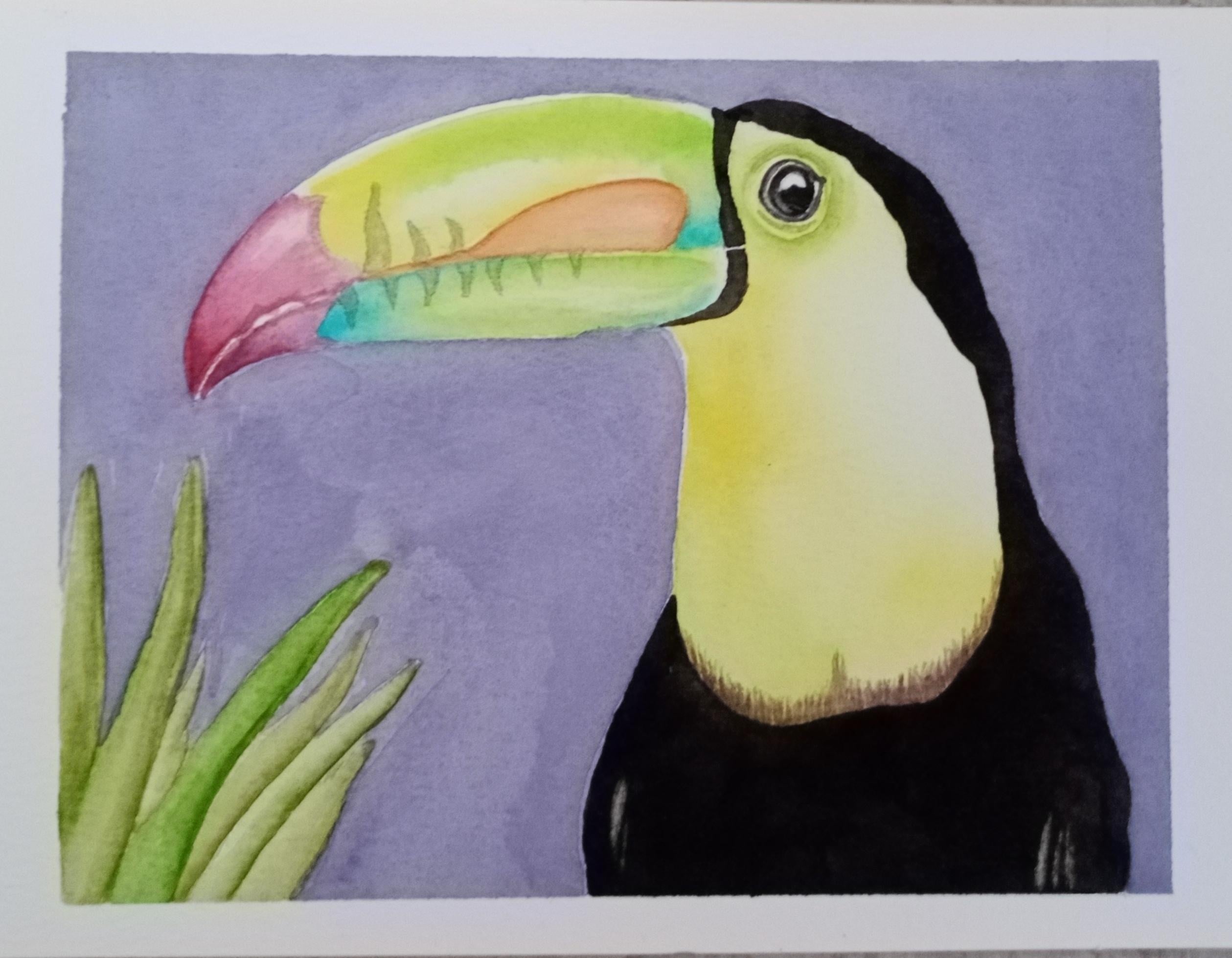 Tucan - student project