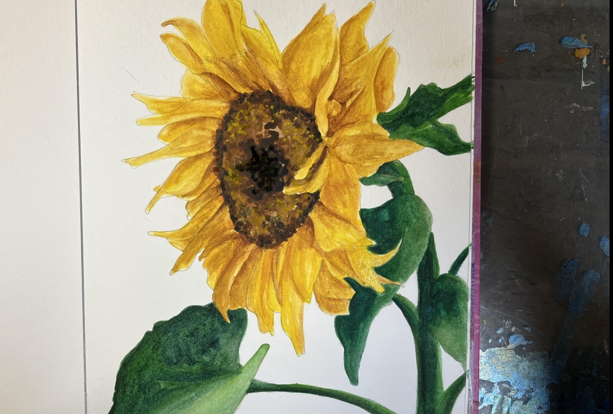 Watercolor Sunflower - student project