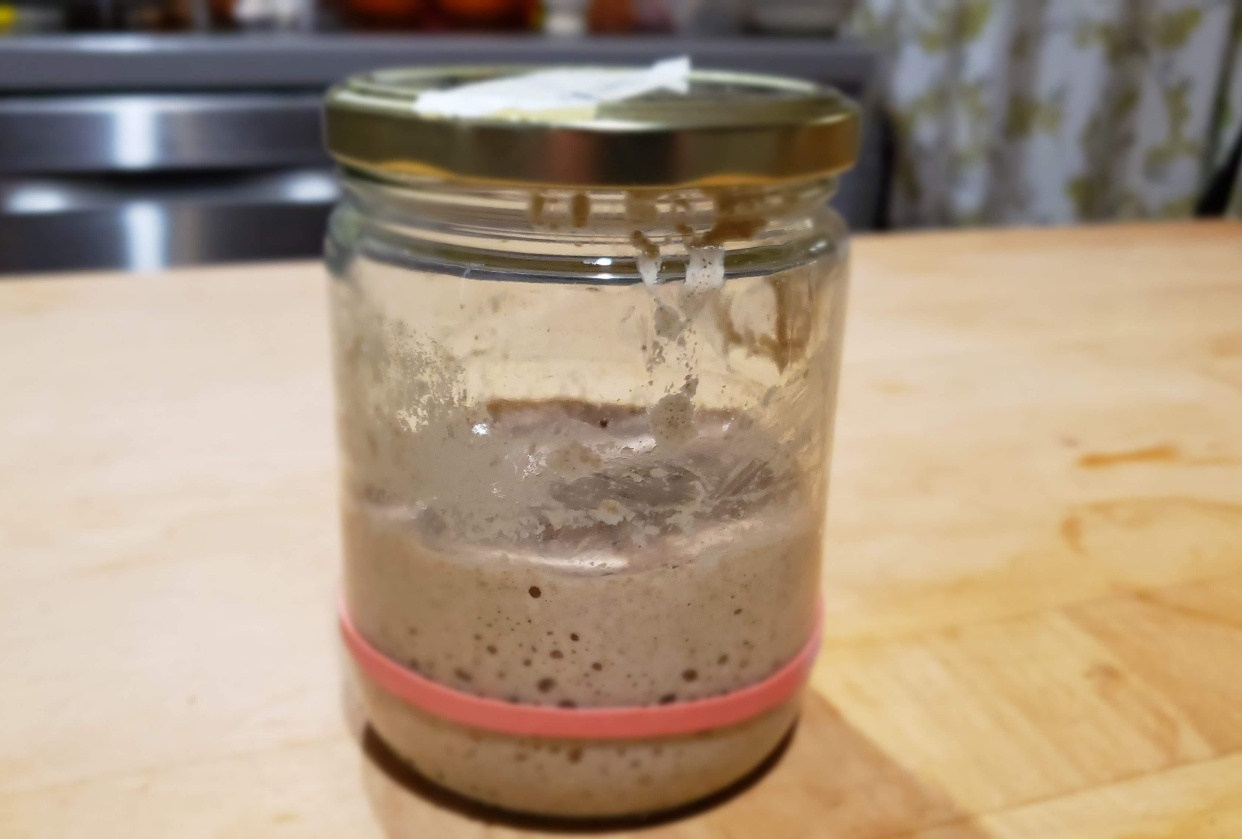 Sourdough Starter - student project