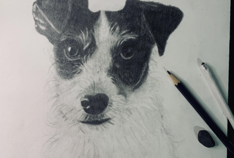 Retrato de Luigi