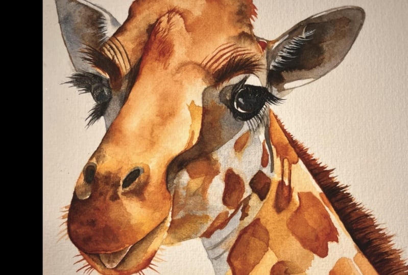 My Giraffe
