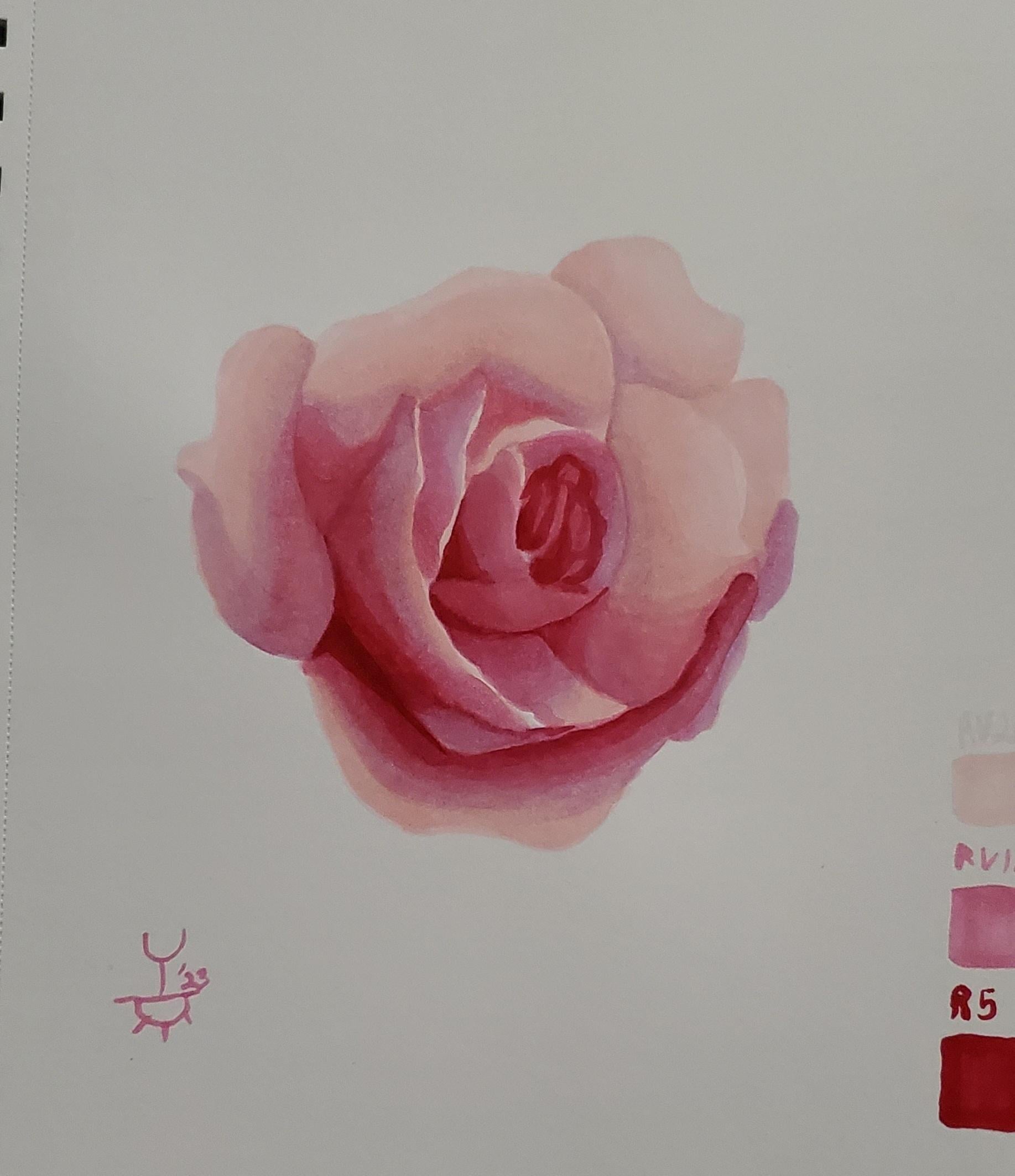 more-projects-from-class-img