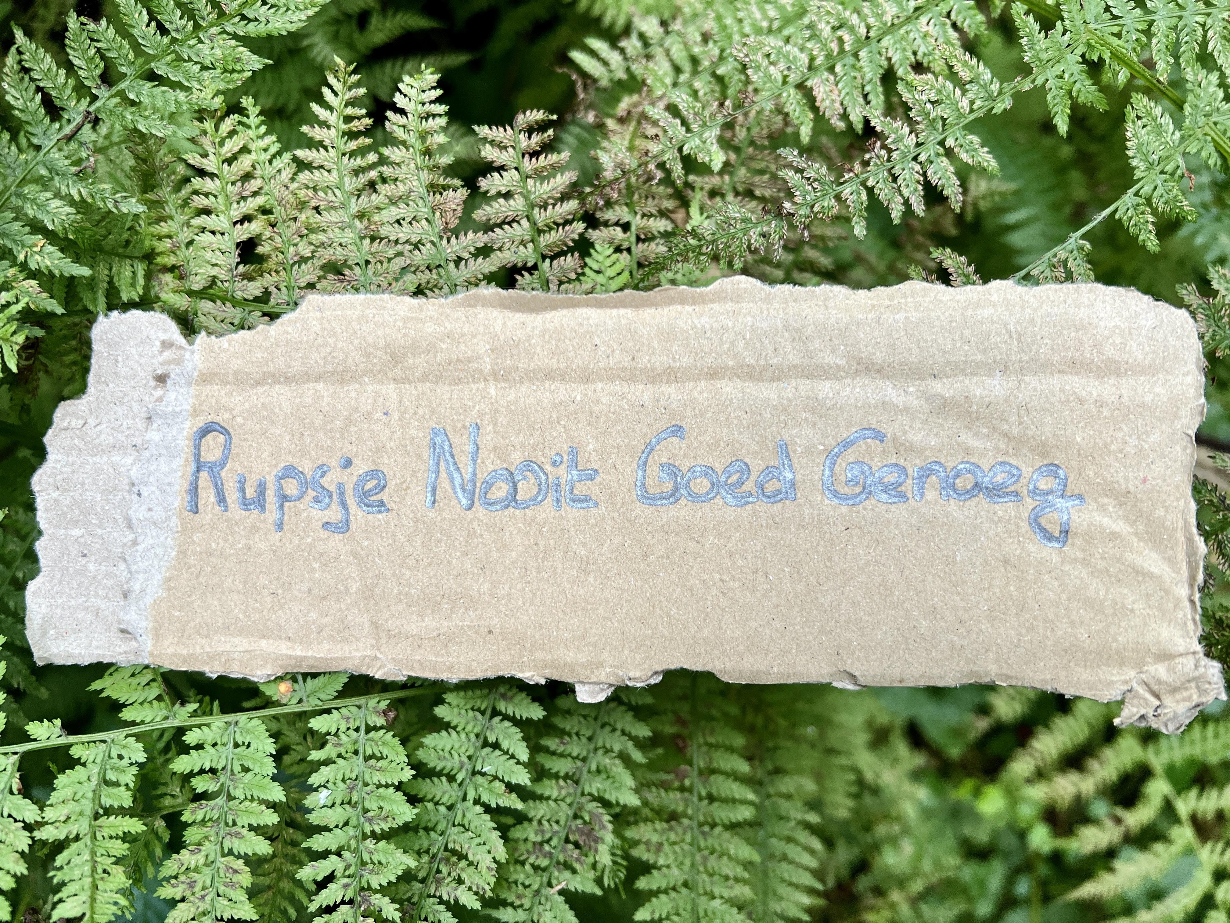 Rupsje Nooit Goed Genoeg - student project
