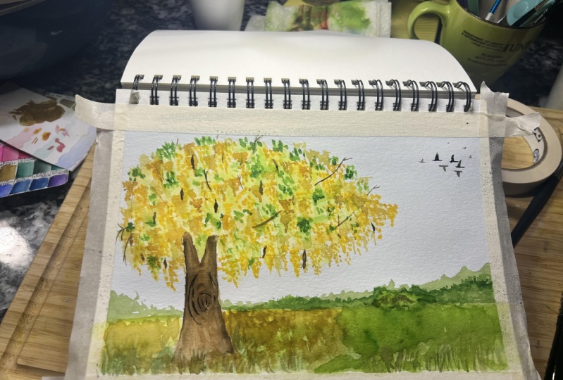 Golden laburnum tree
