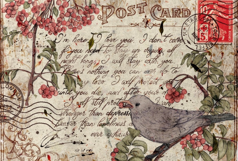 Vintage Postcard