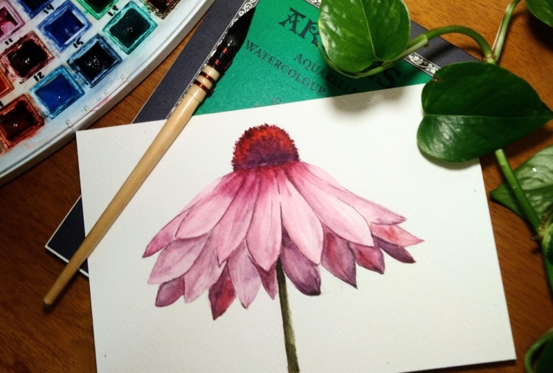 Pink Daisy