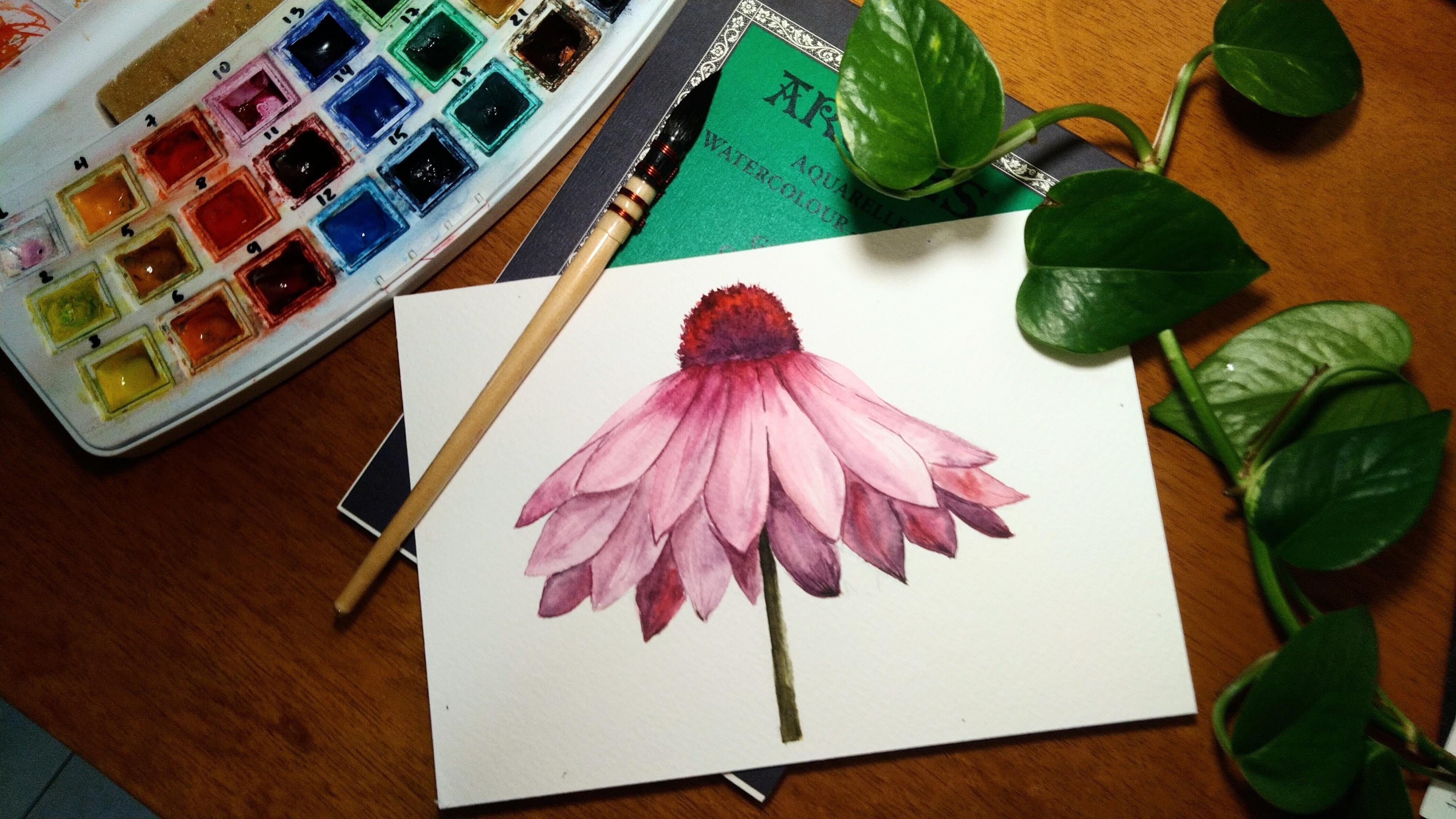 Pink Daisy - student project