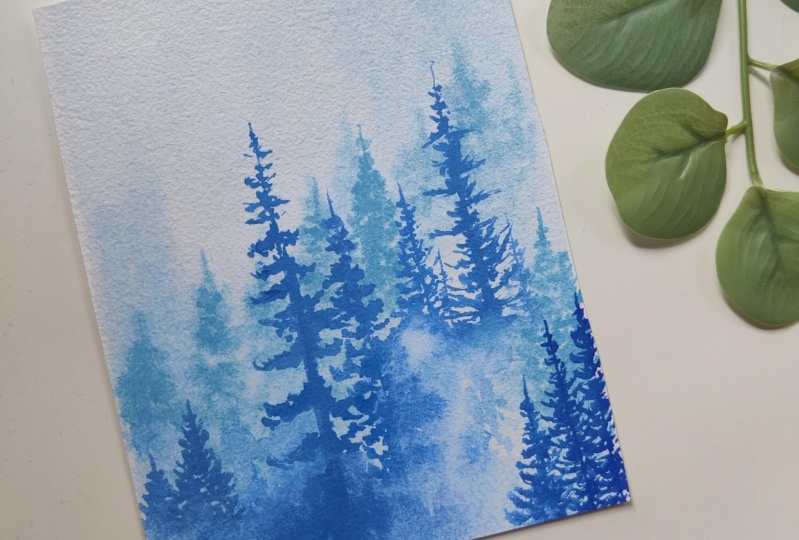Misty pine - rewetting