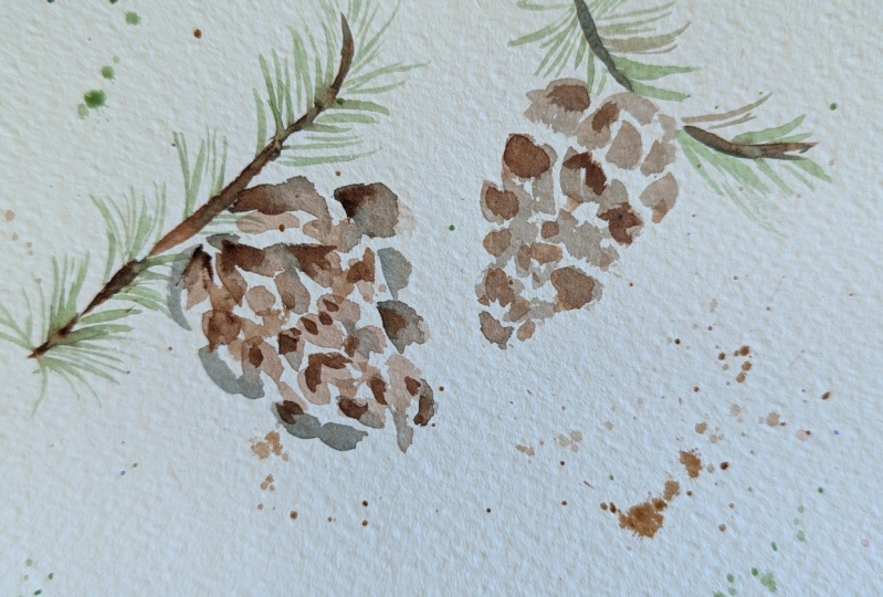 Pinecones