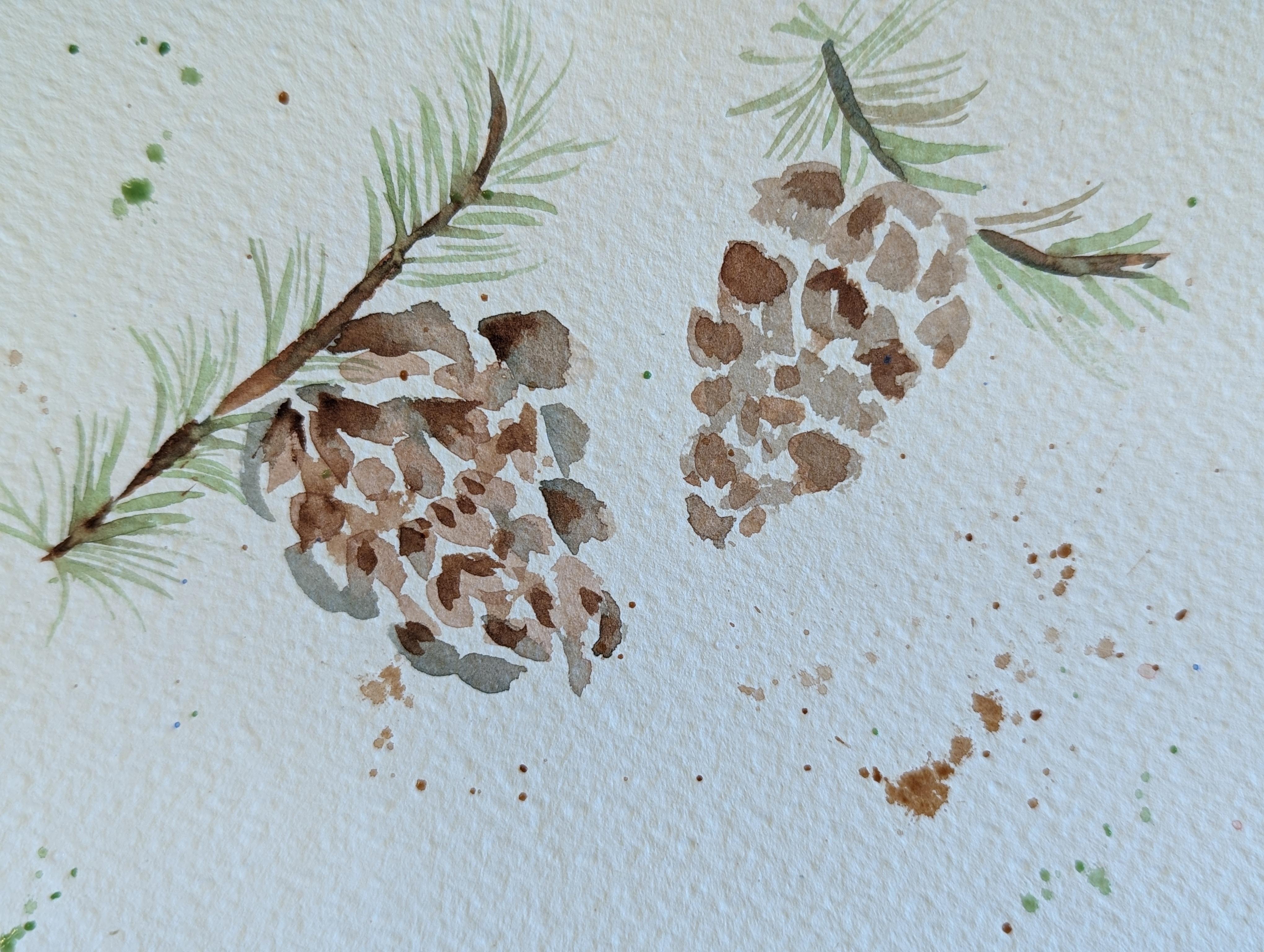 Pinecones - student project