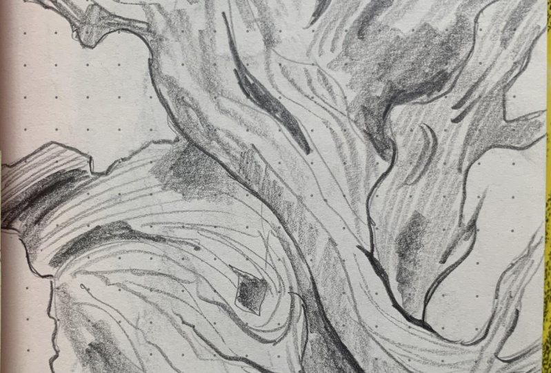 Trees & Rocks (study)