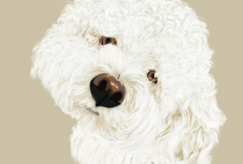 Pet Portrait -Poppy