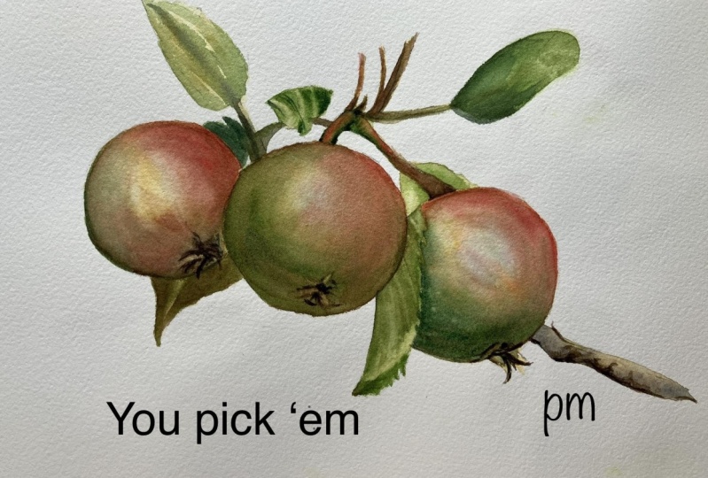 You pick em