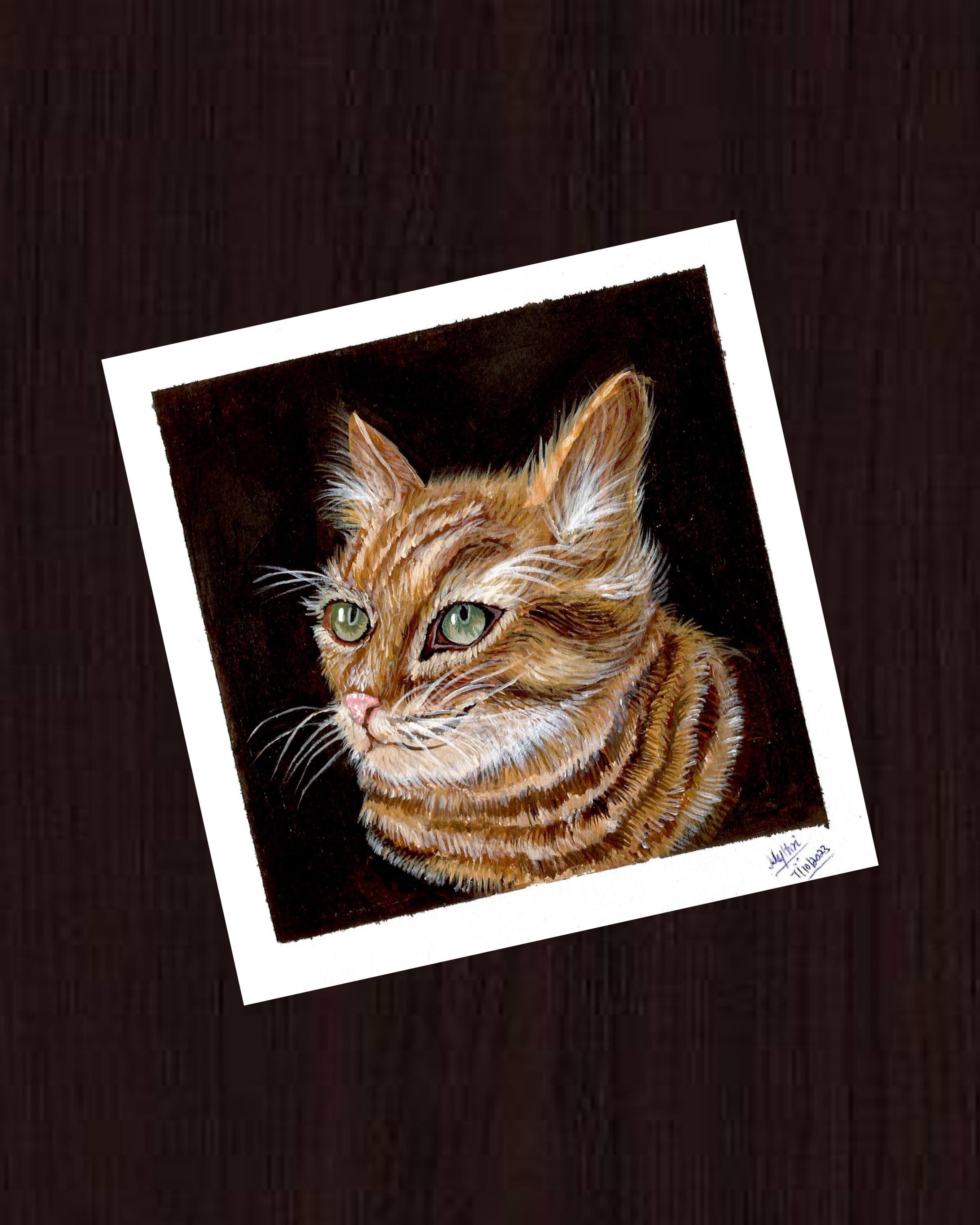 more-projects-from-class-img