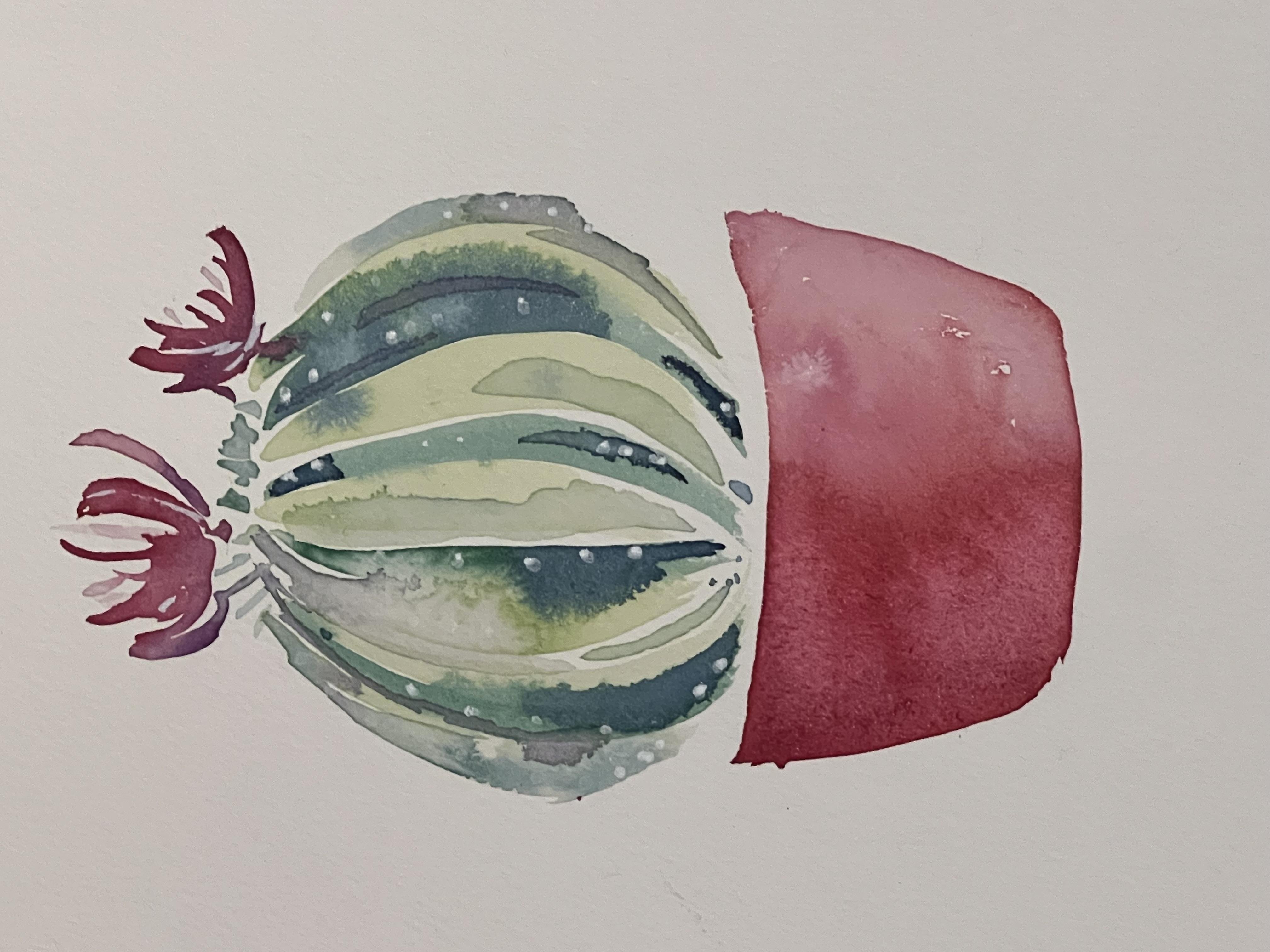 Cactus well-being - student project
