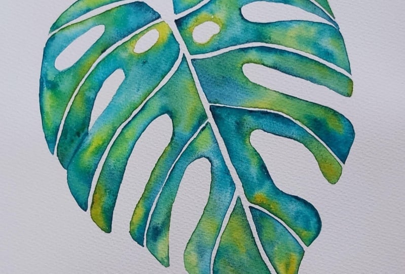 Monstera Leaf