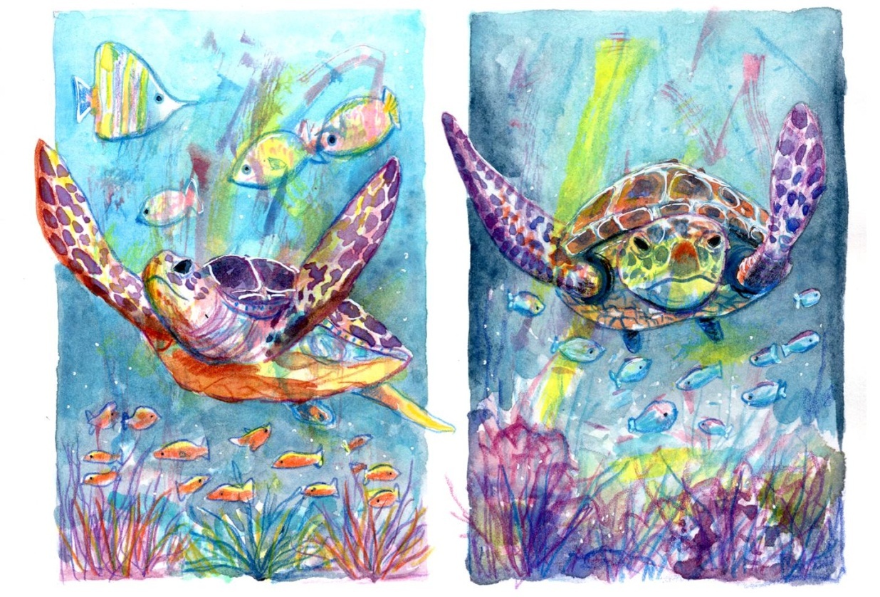 Amazing Sea Turtles - student project