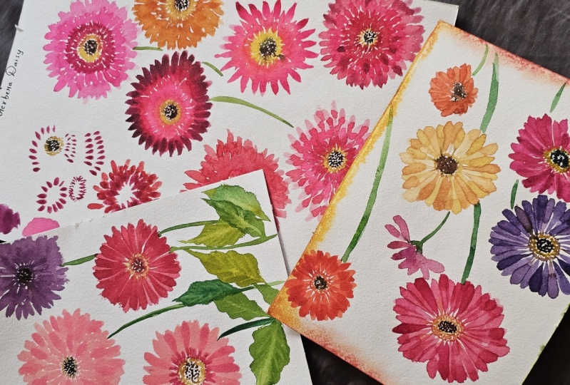 Gerbera Daisy. .