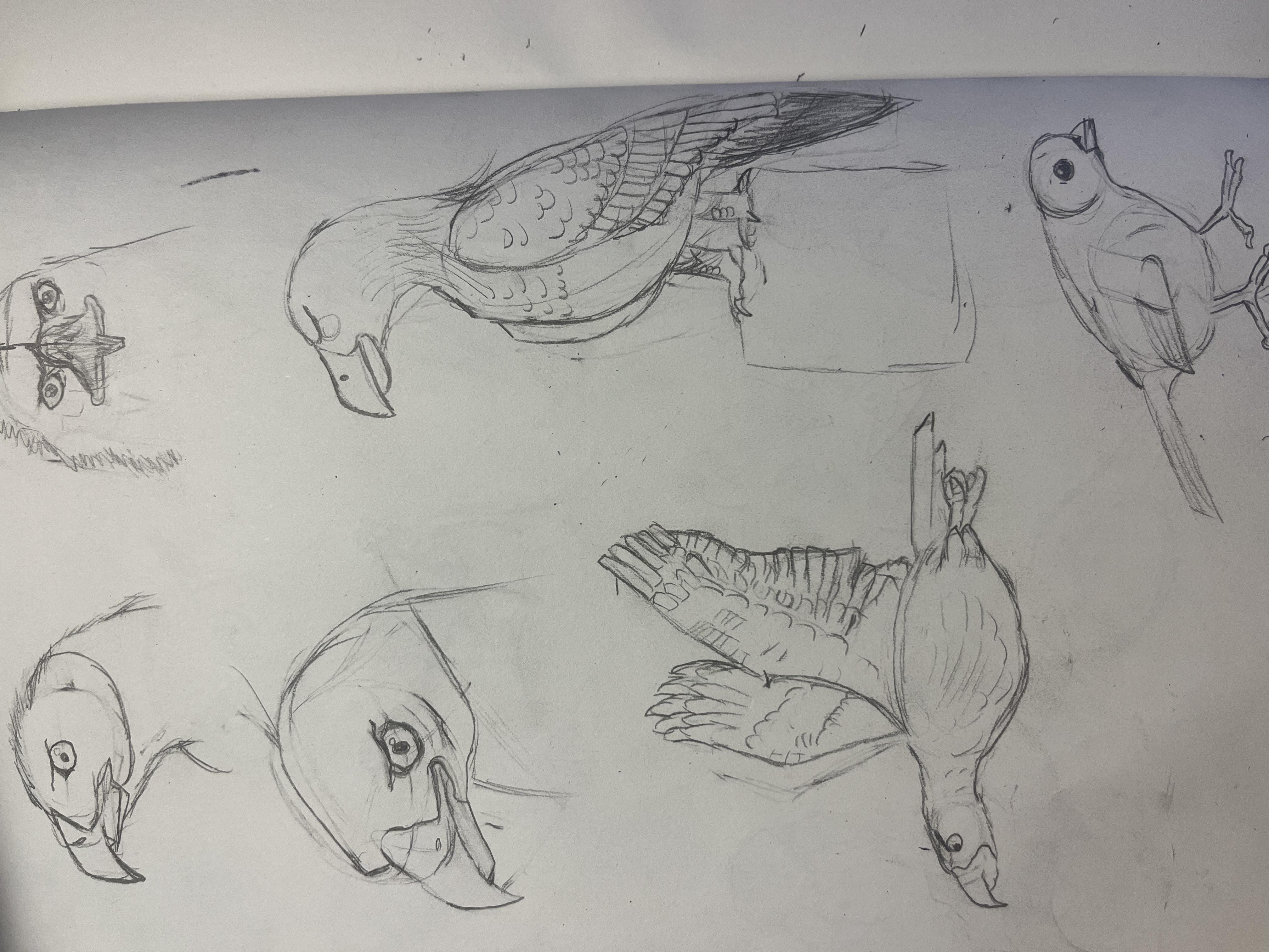more-projects-from-class-img