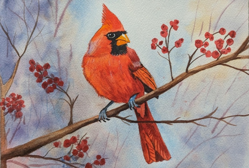 Disgruntled Cardinal