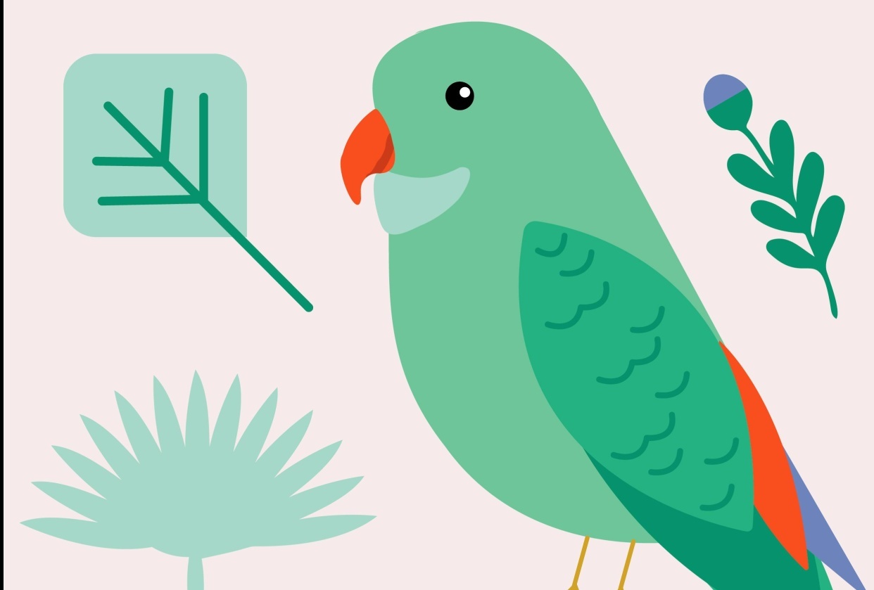 Parrot