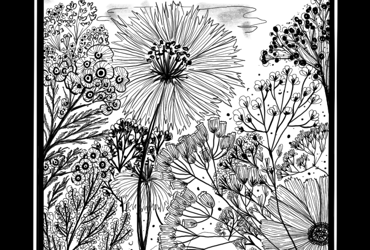 Some botanical doodles - student project