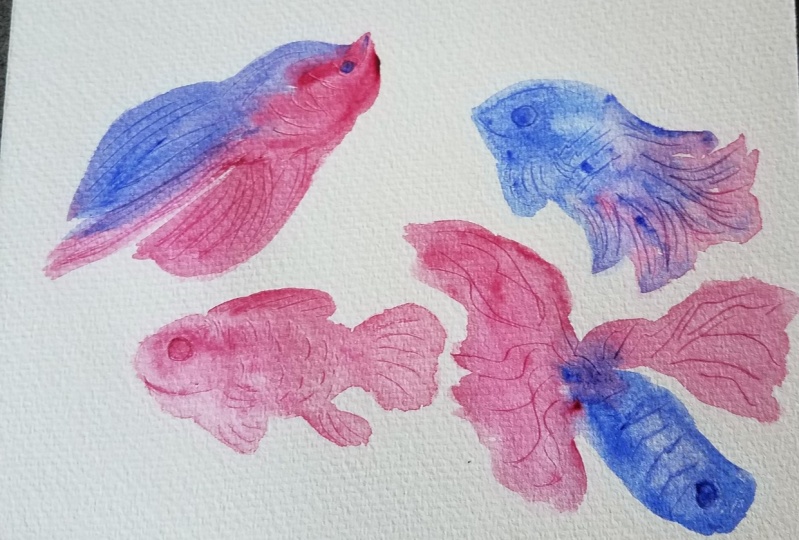 Pink fish