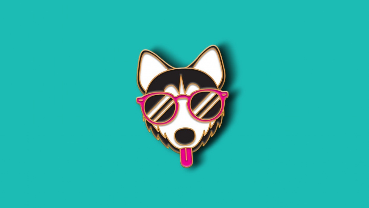 Cool Dawg - student project