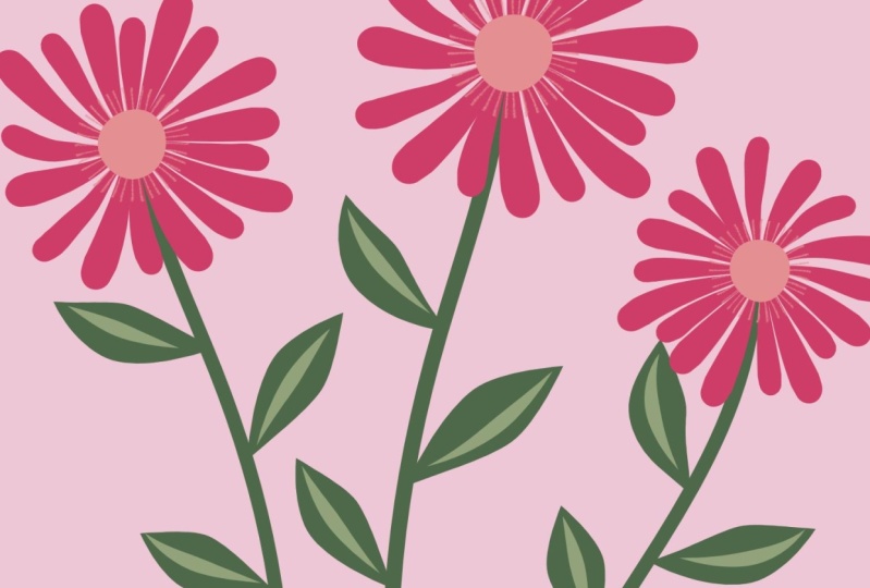 Stroke Profiles for Flowers
