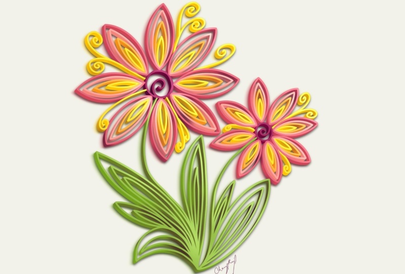 Summer flowers