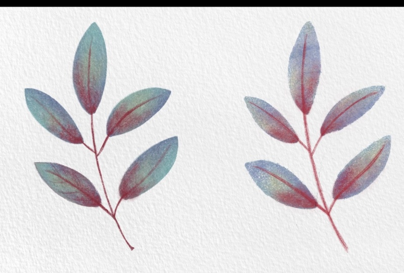From Pencils to Pixels