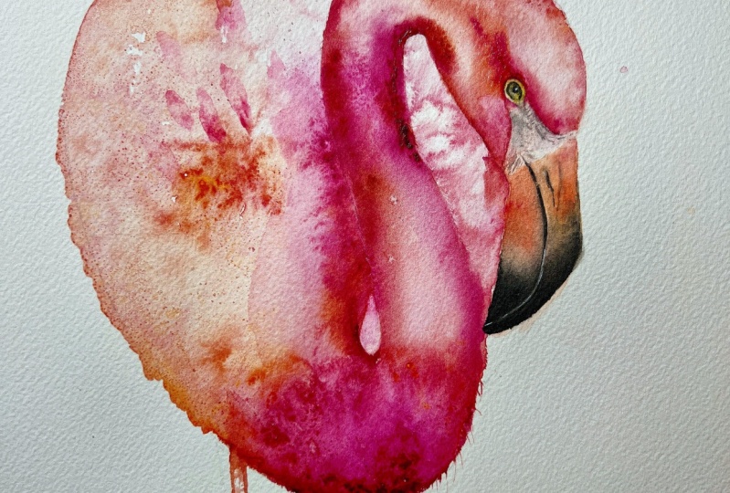 Mr. Flamingo 