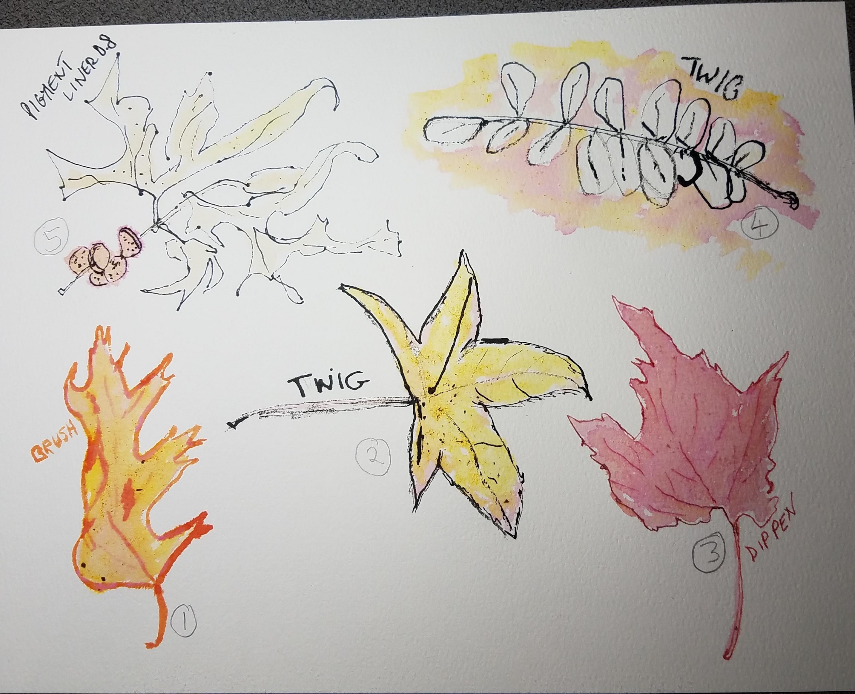 more-projects-from-class-img