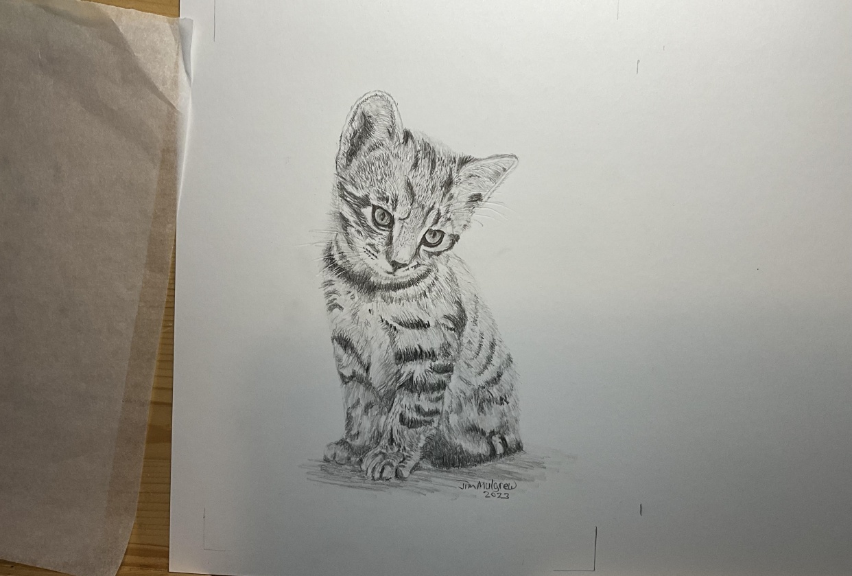 Precious kitten - student project