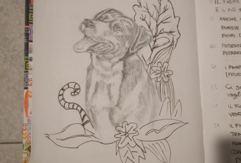 My dog