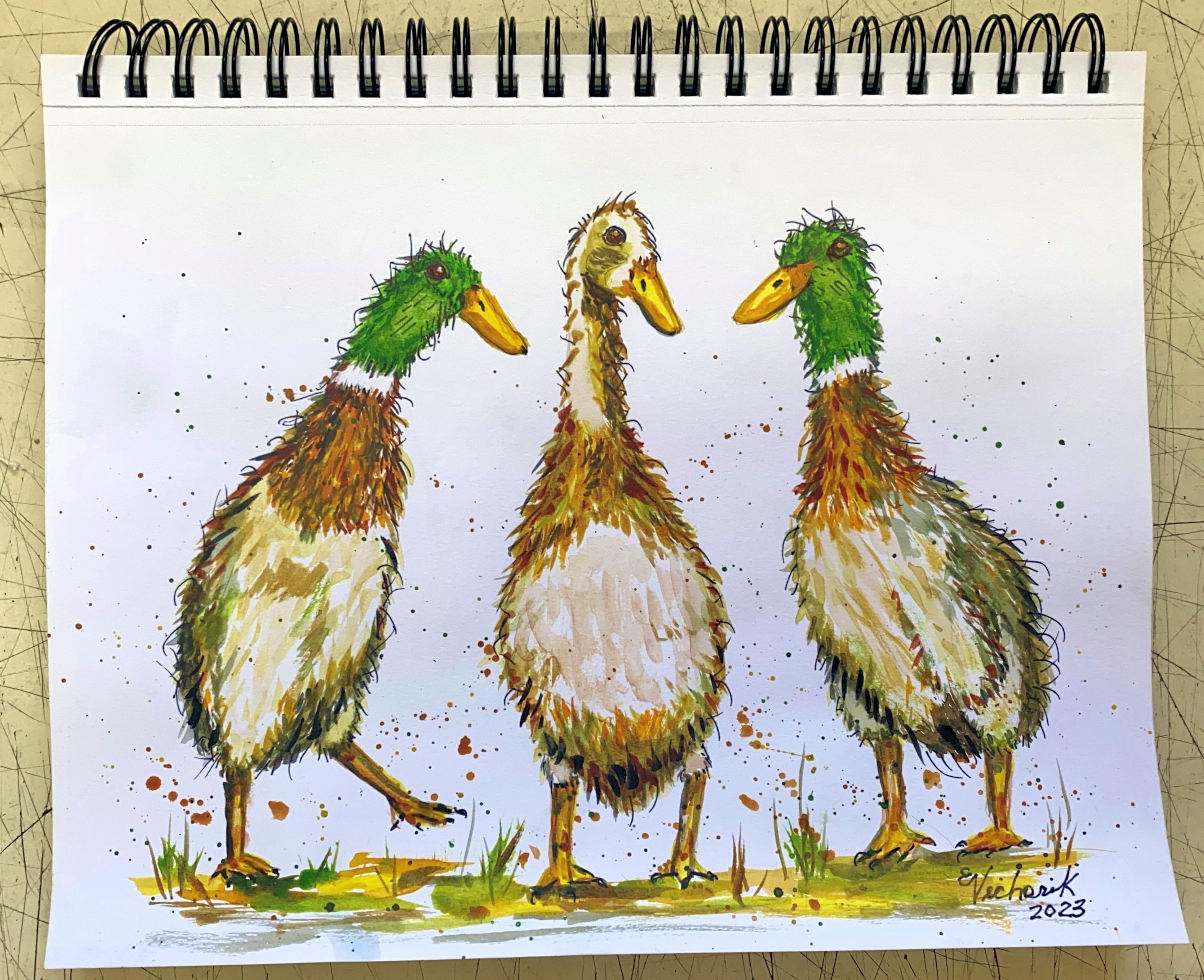 Ducks "Huey, Dewey and Louie" - student project