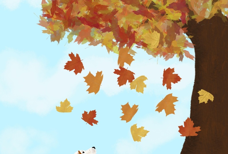Autumn is for Puppies