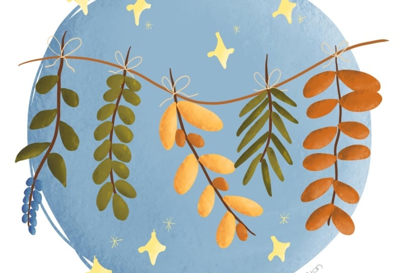 Dried herbs