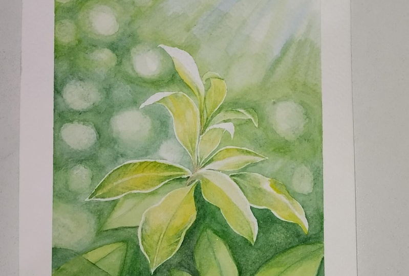 Luz en tu obra de arte
