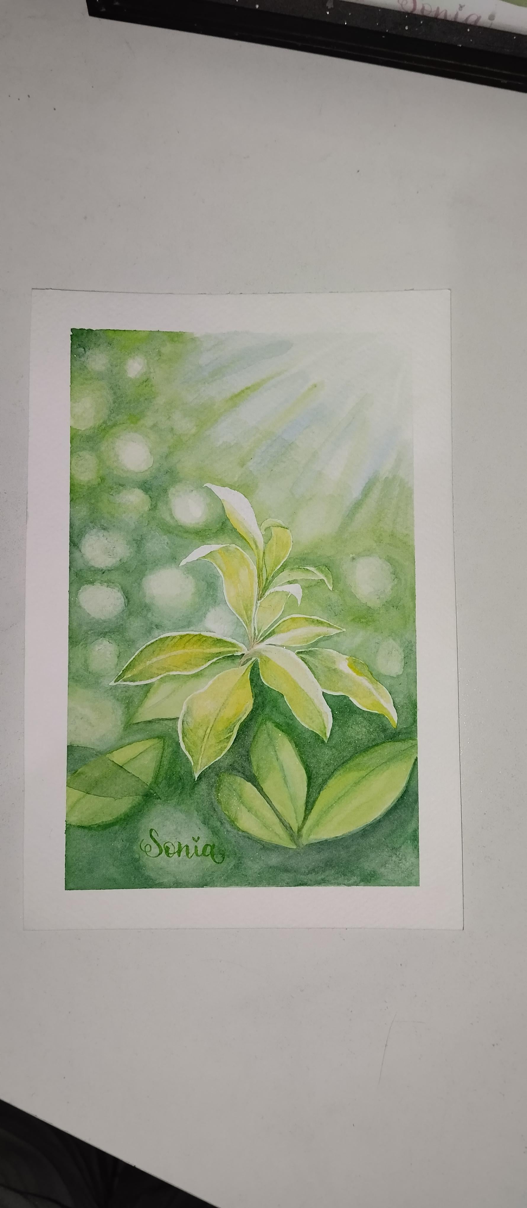 Luz en tu obra de arte - student project