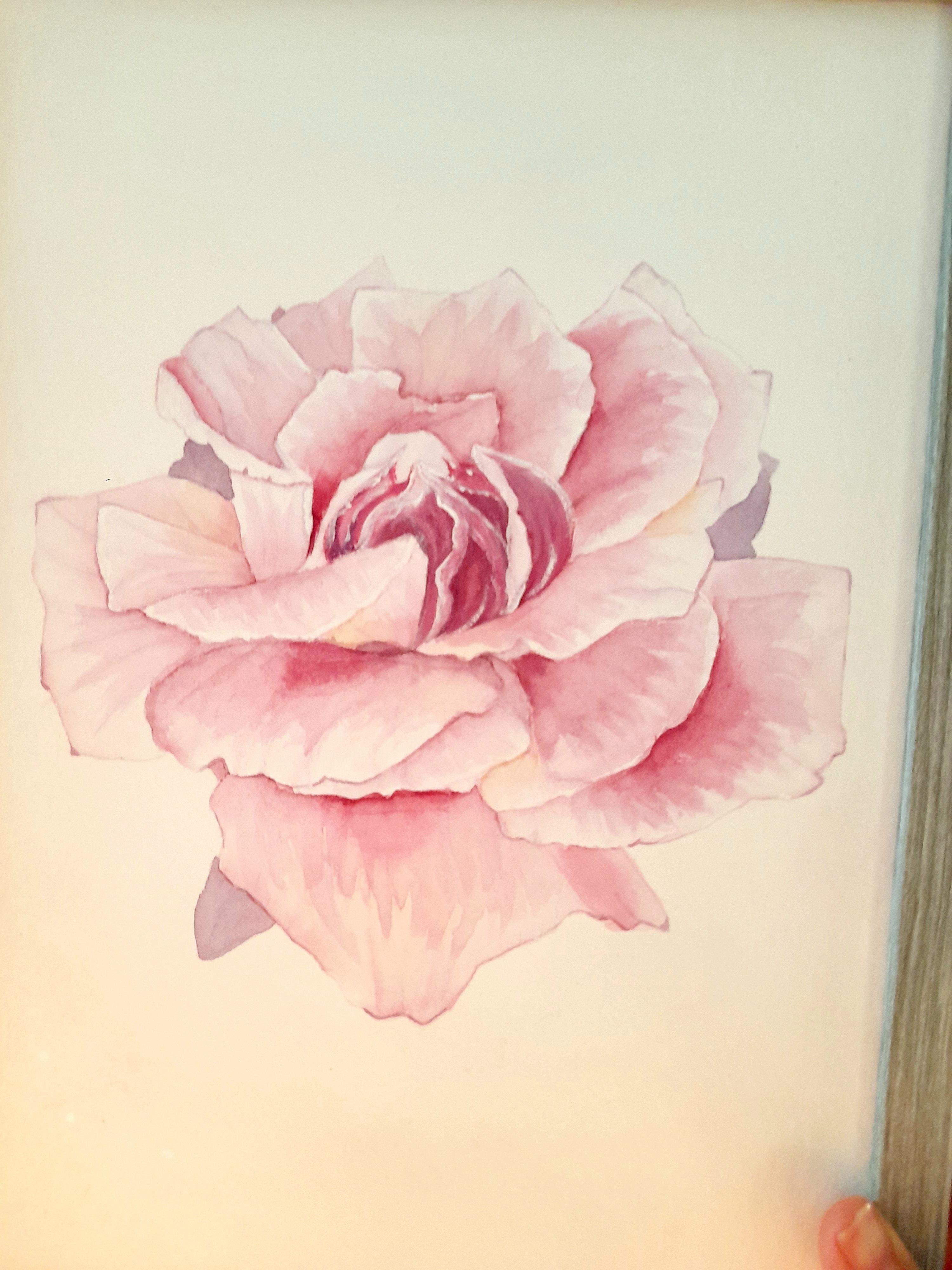 Rose - student project