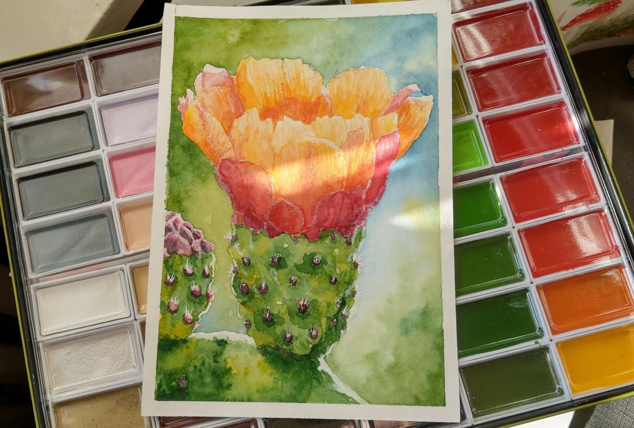Opuntia Flower - student project