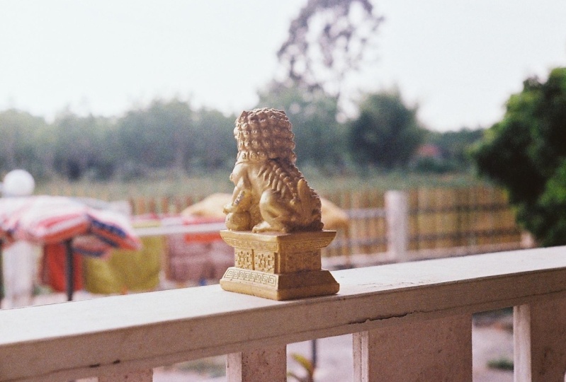 Zorki 4K 50mm F. 2 - Expired Kodak UltraMax 400