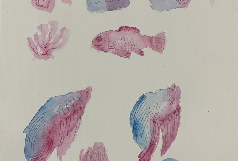 playful fishes