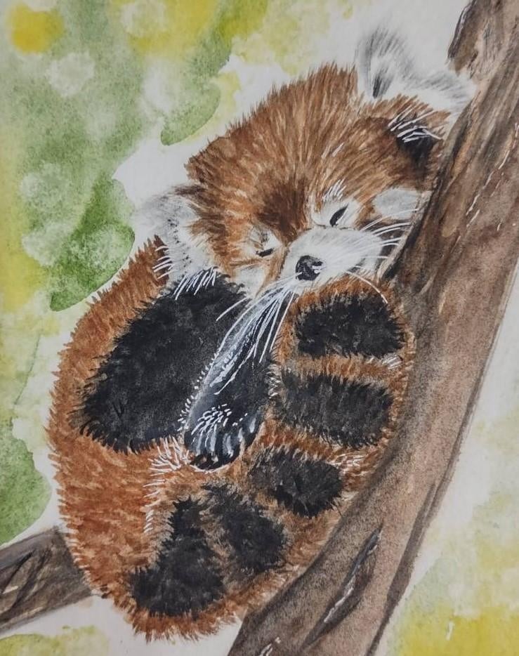 Sleeping red panda - student project