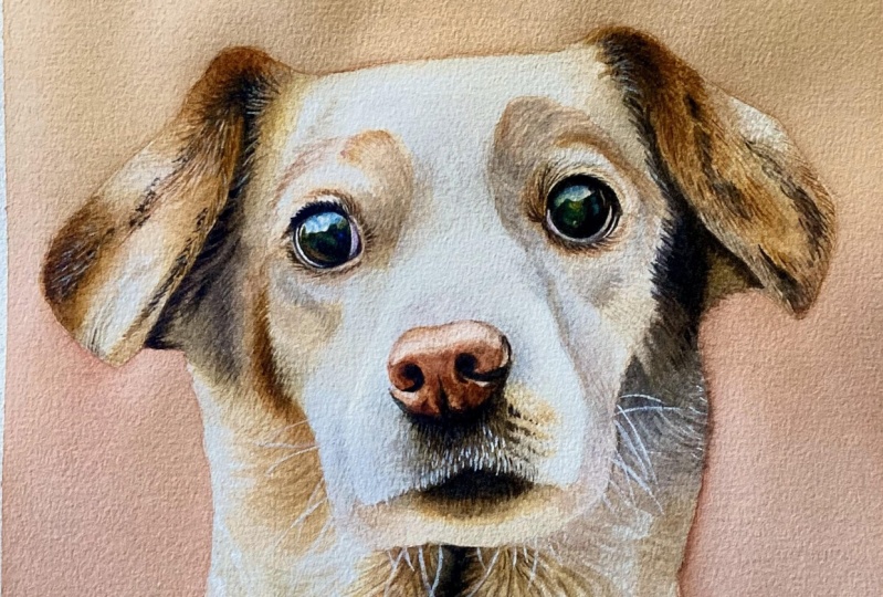 Watercolor dog